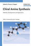Chiral Amine Synthesis. Methods, Developments and Applications ()