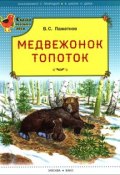 Медвежонок Топоток (В. С. Пажетнов, 2016)