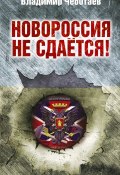 Новороссия не сдается! Барбаросса-2 (, 2014)