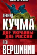 Две Украины - две России (Вершинин Лев, 2014)