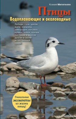Книга "Птицы. Водоплавающие и околоводные" – Ксения Митителло, 2012