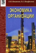 Экономика организации (Е. Е. Китик, Е. Е. Новикова, и ещё 7 авторов, 2009)