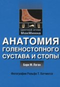 Анатомия голеностопного сустава и стопы (, 2014)