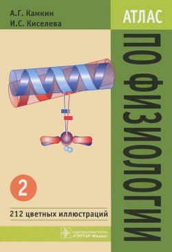 Книга "Атлас по физиологии. В 2 томах. Том 2" – , 2011