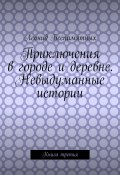 Приключения в городе и деревне. Невыдуманные истории. Книга третья (Леонид Беспамятных)