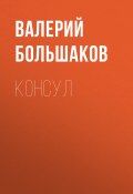 Книга "Консул" (Валерий Большаков, 2010)