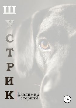 Книга "Шустрик" – Владимир Эстеркин, 2018