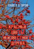 Красные цветы неизвестного дерева (Павел Егоров)