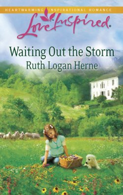 Книга "Waiting Out the Storm" – Ruth Herne
