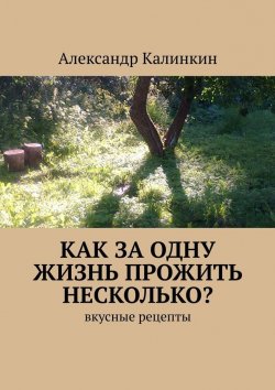 Книга "Как за одну жизнь прожить несколько? Вкусные рецепты" – Александр Калинкин