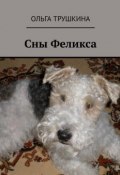 Сны Феликса (Ольга Трушкина)