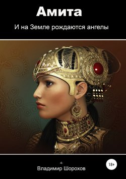 Книга "Амита" {Хроника Мориса} – Владимир Шорохов, 2018