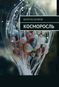 Косморосль (Беляков Валентин)