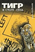 Тигр в стоге сена (Борис Майнаев, 1999)