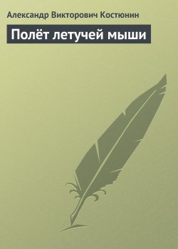 Книга "Полёт летучей мыши" – Александр Костюнин