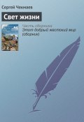 Свет жизни (Сергей Чекмаев, 2003)