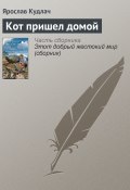 Кот пришел домой (Ярослав Кудлач, 2010)