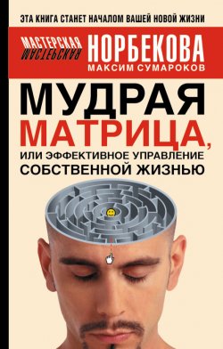 Книга "Мудрая матрица, или Эффективное управление собственной жизнью" – Максим Сумароков, 2007