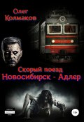Скорый поезд «Новосибирск – Адлер» (Олег Колмаков, 2018)