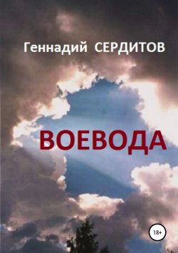 Книга "Воевода" – Геннадий Сердитов, 2008