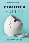 Книга "Стратегия жизни. Как спланировать будущее, наполненное смыслом и счастьем" (Святослав Бирюлин, 2020)