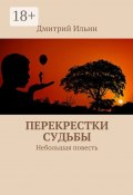 Перекрестки судьбы. Небольшая повесть (Дмитрий Ильин)