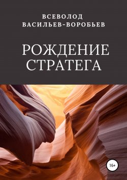 Книга "Рождение стратега" – Всеволод Васильев-Воробьев, 2019