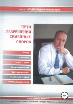 Книга "Пути разрешения семейных споров" – Андрей Ноздря, 2010