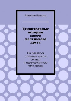 Книга "Удивительные истории моего маленького друга. Он появился с первым лучом солнца и перевернул всю мою жизнь" – Валентин Пампура