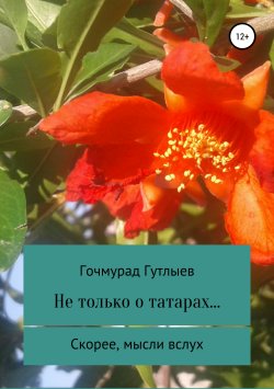 Книга "Не только о татарах… Скорее, мысли вслух" – Гочмурад Гутлыев, 2019