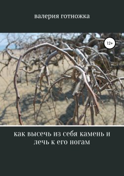 Книга "Как высечь из себя камень и лечь к его ногам" – валерия готножка, 2015