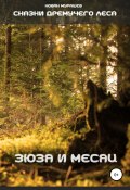 Сказки Дремучего леса. Зюзя и Месяц (Мурашев Новак, 2005)