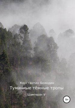 Книга "Туманные тёмные тропы" – Константин Бояндин, 2001