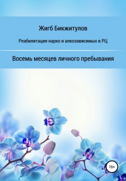 Книга "Реабилитация нарко- и алкозависимых в РЦ. Восемь месяцев личного пребывания" – Жигб Бикжитулов, 2020