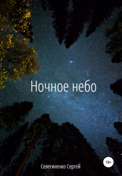 Книга "Ночное небо" – Сергей Селегиненко, 2020