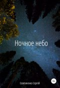 Ночное небо (Сергей Селегиненко, 2020)