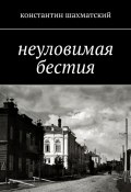 Неуловимая бестия (Константин Шахматский)