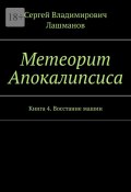 Метеорит Апокалипсиса. Книга 4. Восстание машин (Сергей Лашманов, Сергей Лашманов)