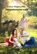 Книга "Неправильная пара" (Алёна Медведева, 2020)