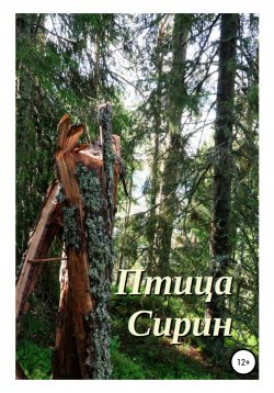 Книга "Птица Сирин" – Валерия Скритуцкая, 2020