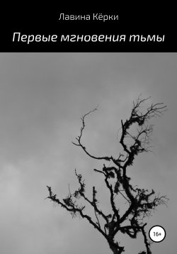 Книга "Первые мгновения тьмы" – Лавина Кёрки, 2019