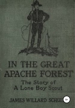 Книга "В Великом лесу апачей" – Джеймс Уиллард Шульц, 1920