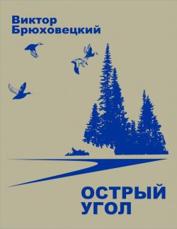 Книга "Острый угол / Книга новых стихотворений и рассказов" – Виктор Брюховецкий, 2020