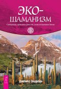 Книга "Экошаманизм. Священные практики единства, силы и исцеления Земли" (Джеймс Эндреди, 2005)