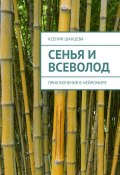 Сенья и Всеволод. Приключения в нейромире (Шанцева Ксения)