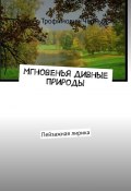 Мгновенья дивные природы. Пейзажная лирика (Олег Черный)