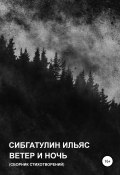 Ветер и ночь (Ильяс Сибгатулин, 2020)