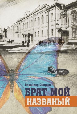 Книга "Брат мой названый" – Владимир Смирнов, 2013