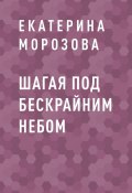 Шагая под бескрайним небом (Екатерина Морозова)