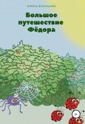 Большое путешествие Фёдора (Ирина Блинцова, 2020)